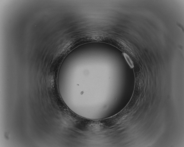 X0000091860595200709121331