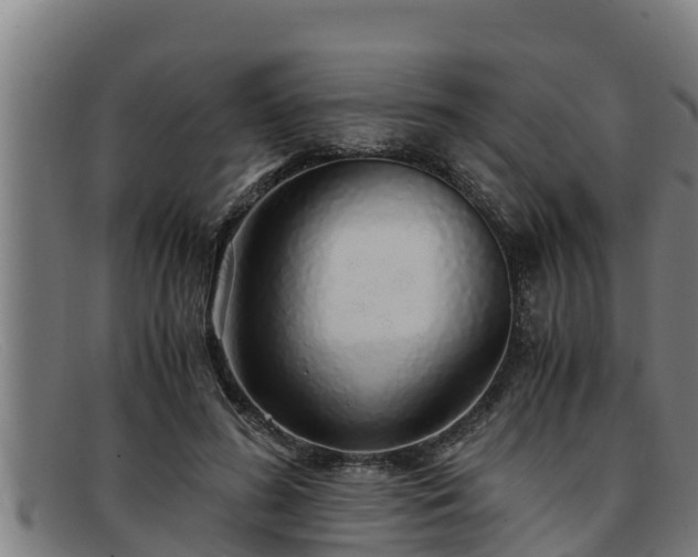 X0000091860596200709121331