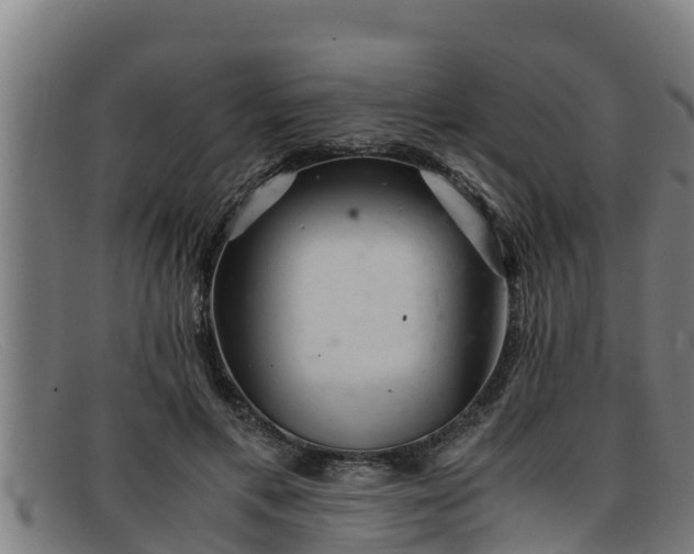 X0000091860597200709121331