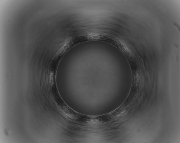 X0000091860598200709121331