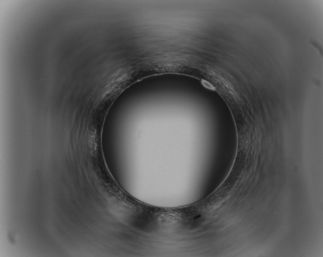 X0000091860599200709121331