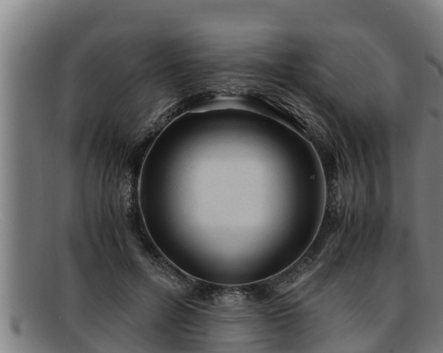 X0000091860600200709121331