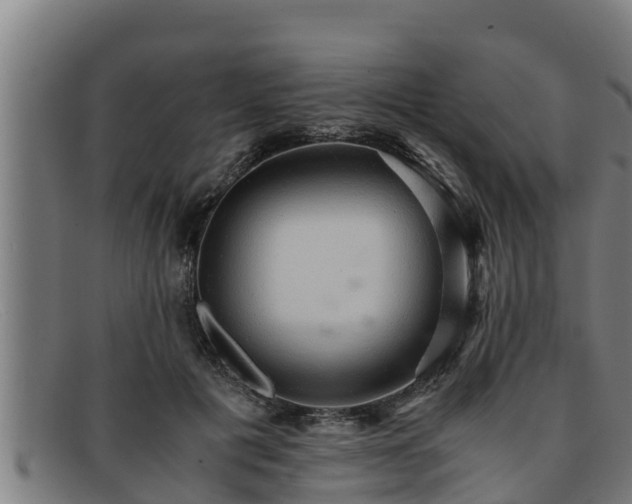 X0000091860601200709121331