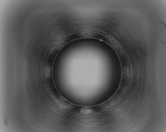 X0000091860602200709121331