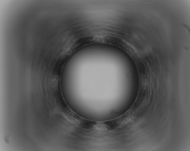 X0000091860603200709121331