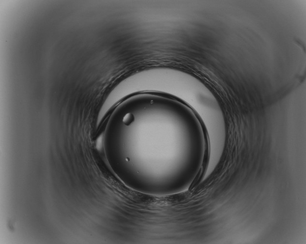 X0000091860604200709121331