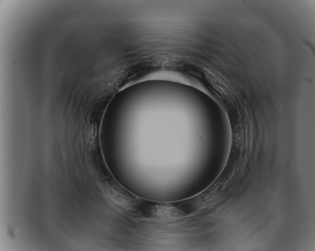 X0000091860605200709121331