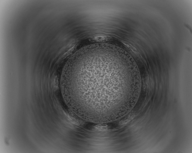 X0000091860606200709121331