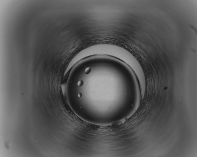 X0000091860608200709121331