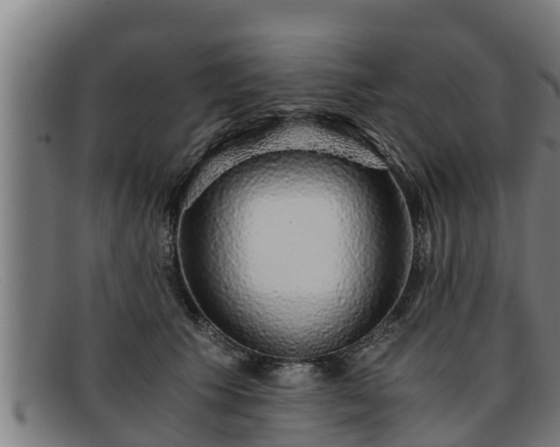 X0000091860609200709121331