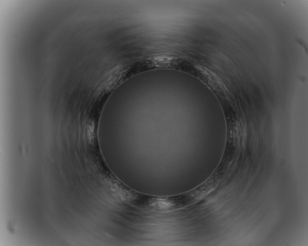 X0000091860610200709121331