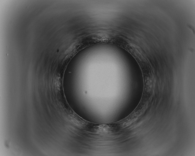 X0000091860612200709121331