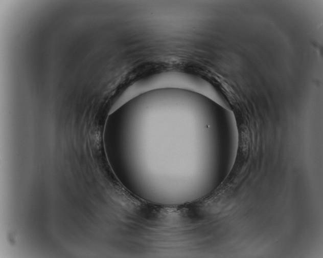 X0000091860613200709121331