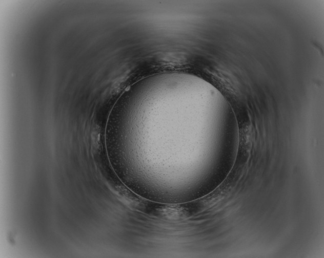 X0000091860615200709121331