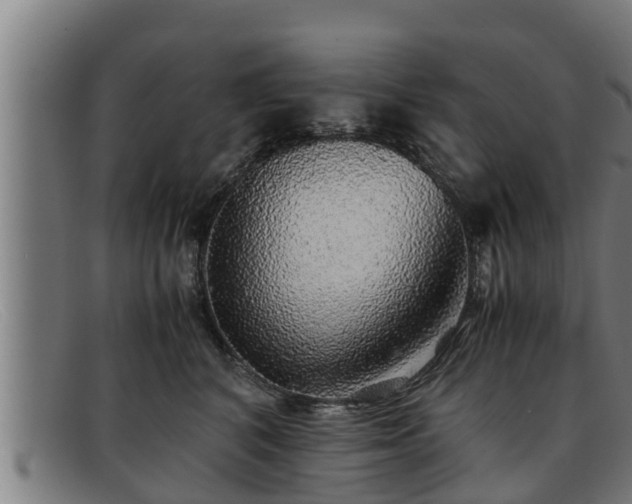 X0000091860616200709121331