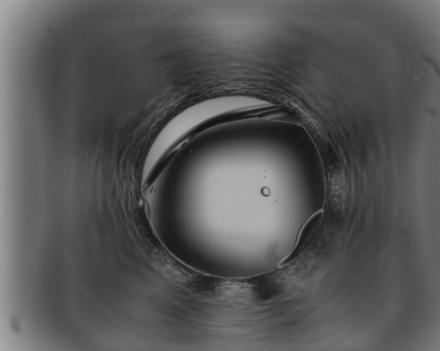 X0000091860617200709121331