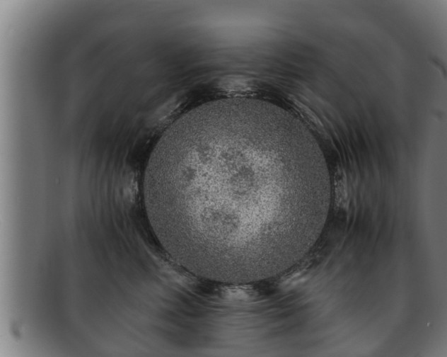 X0000091860618200709121331