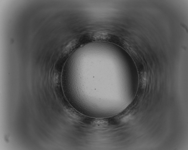 X0000091860619200709121331