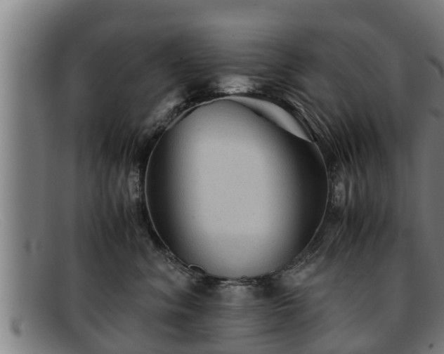 X0000091860620200709121331