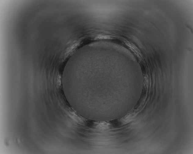 X0000091860621200709121331