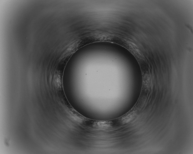 X0000091860622200709121331