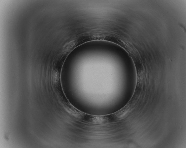 X0000091860623200709121331