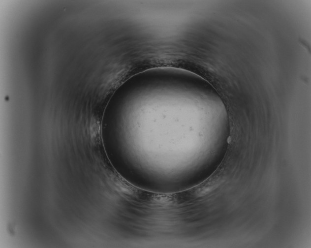 X0000091860624200709121331