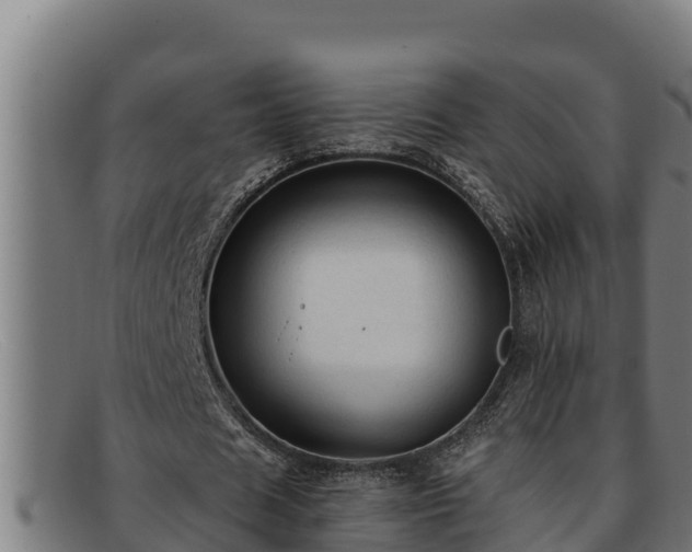 X0000091860625200709121330