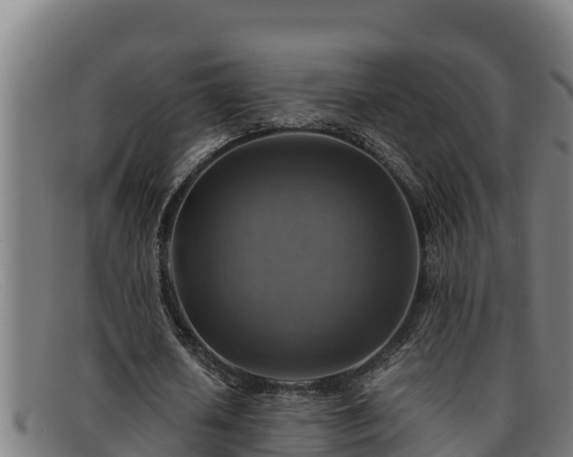 X0000091860626200709121330