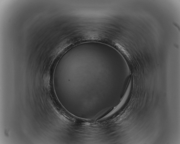 X0000091860627200709121330