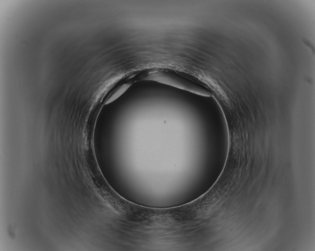 X0000091860628200709121330