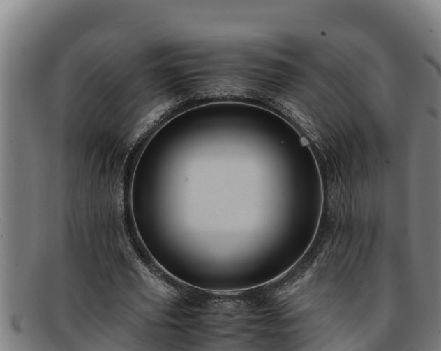 X0000091860629200709121330