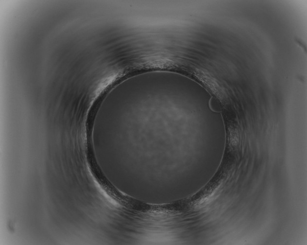 X0000091860630200709121330