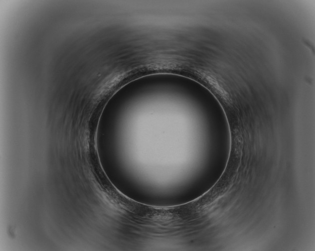 X0000091860631200709121330