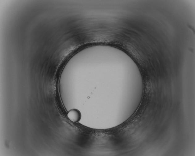 X0000091860632200709121330