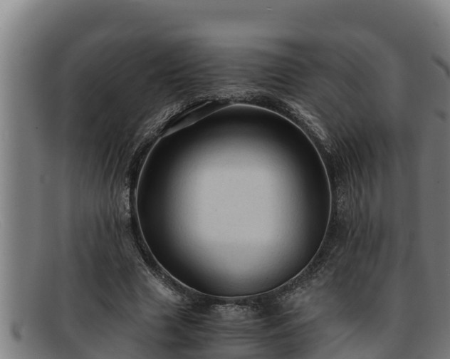 X0000091860633200709121330