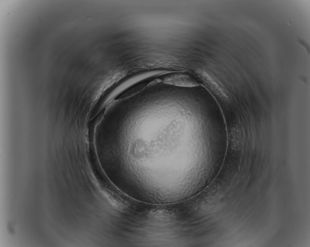 X0000091860634200709121330