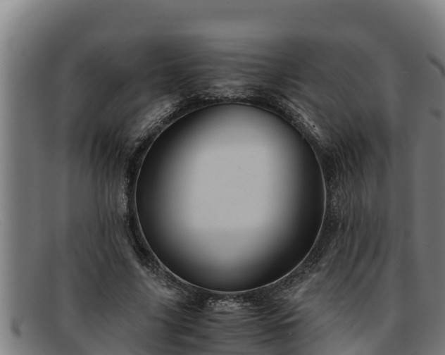 X0000091860635200709121330