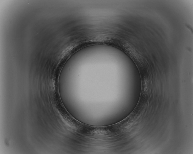 X0000091860636200709121330