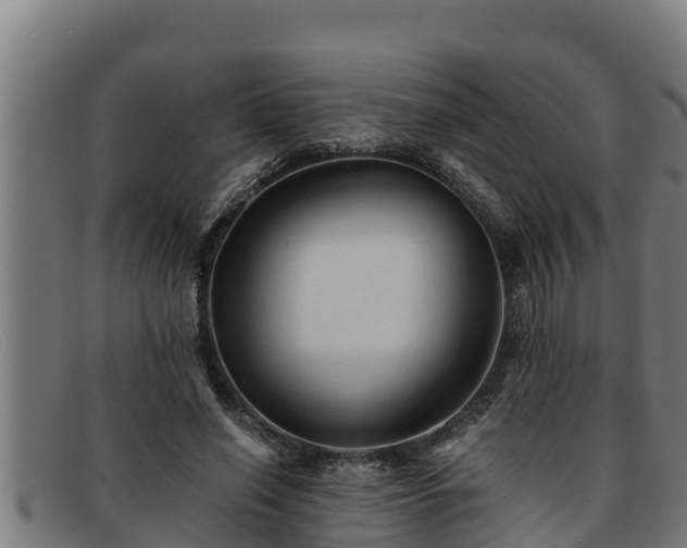 X0000091860638200709121330