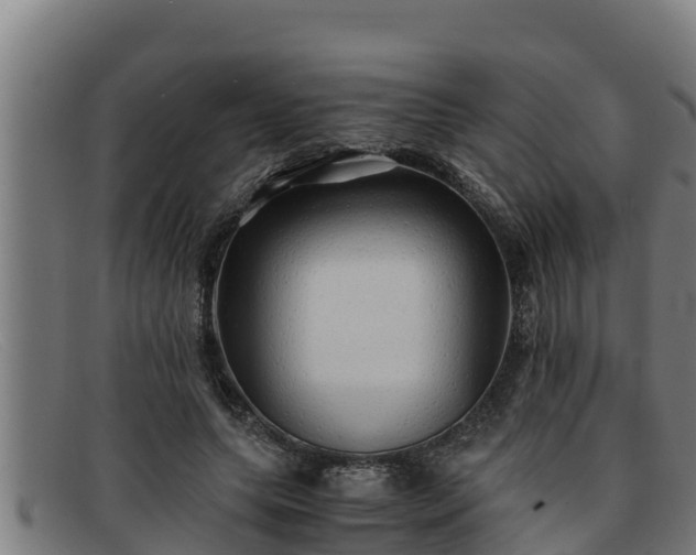 X0000091860639200709121330