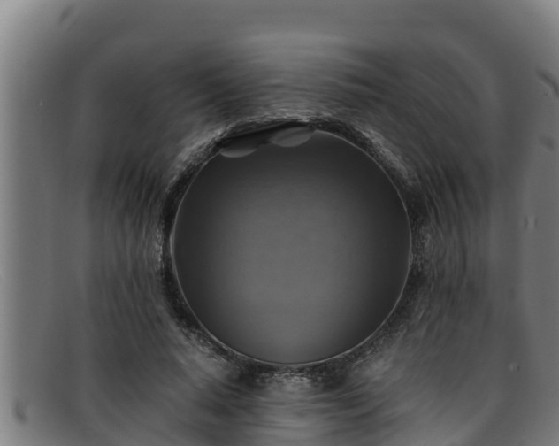 X0000091860640200709121330