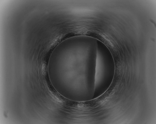 X0000091860641200709121330