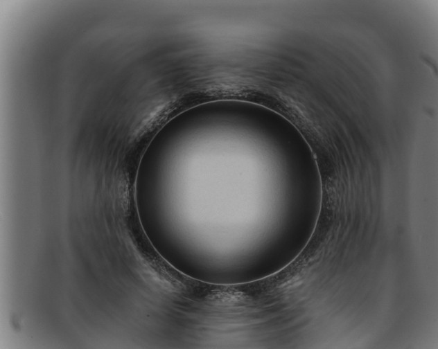 X0000091860642200709121330