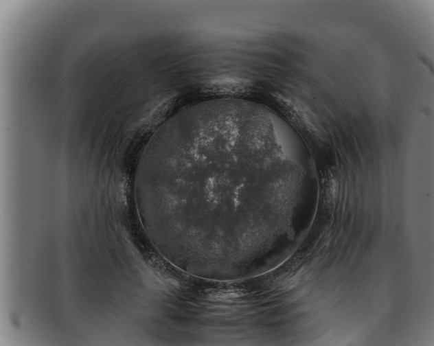 X0000091860643200709121330