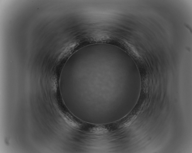 X0000091860644200709121330