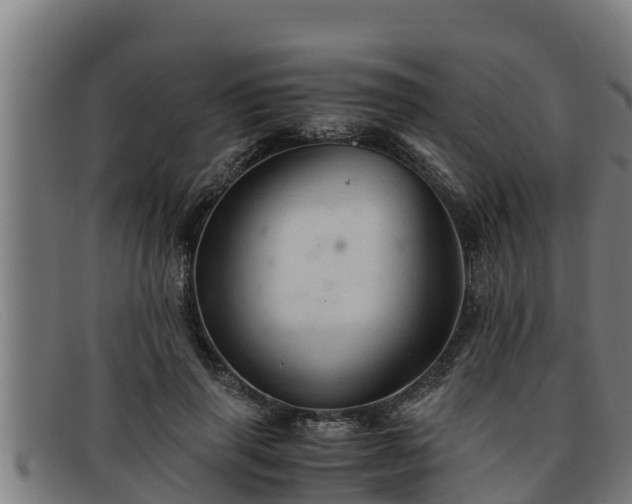 X0000091860645200709121330