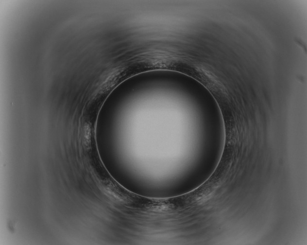 X0000091860646200709121330