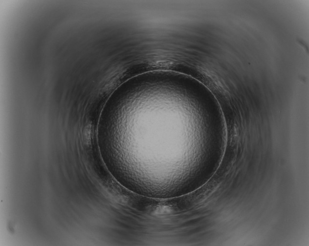 X0000091860647200709121331