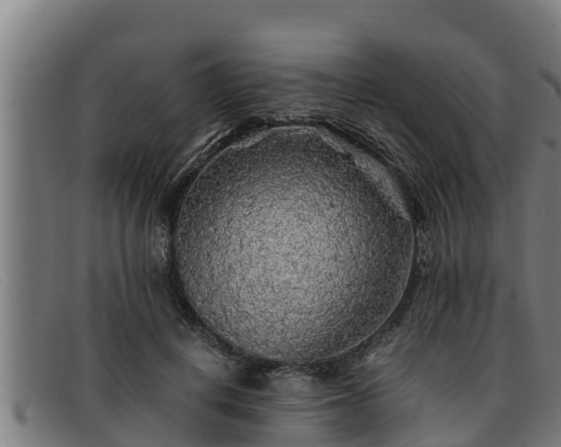 X0000091860648200709121331